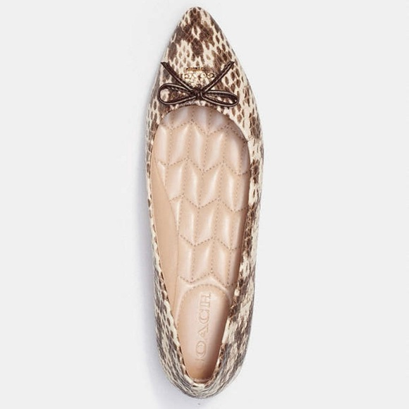 Coach Annabel Snakeskin Ballet Flats - Picture 3 of 11